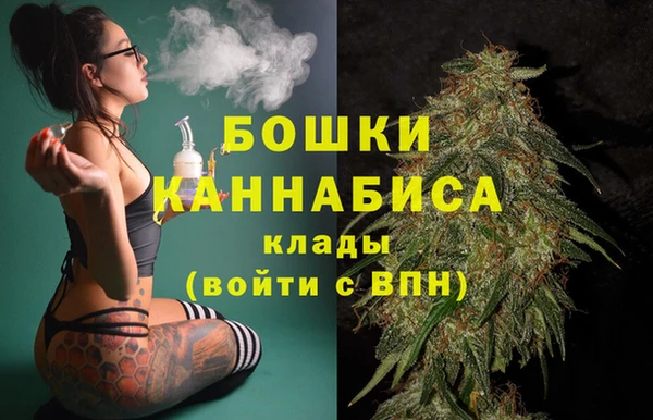 трава Арсеньев