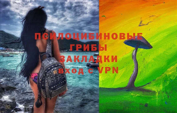 a pvp Алзамай